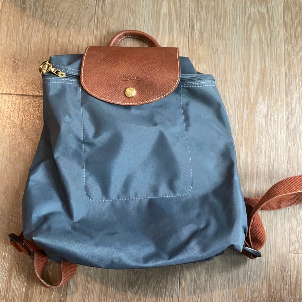Long Champ Backpack